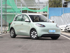 2023款  410km灵犀尊享款