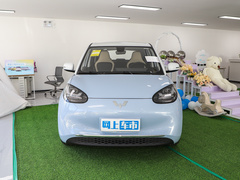 2023款  410km灵犀尊享款
