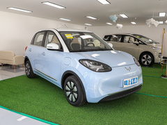 2023款  410km灵犀尊享款