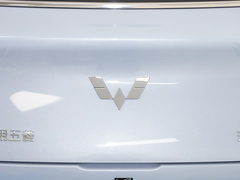 2023款  410km灵犀尊享款