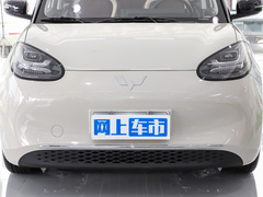 2023款 333km 悦享+款