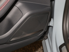 2023款 2.9 TFSI quattro 竞技限量版