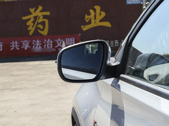 2024款 荣耀版 230TCI 自动卓越版 5座
