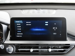 2024款 荣耀版 230TCI 自动卓越版 5座