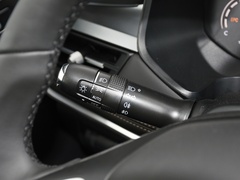 2024款 荣耀版 230TCI 自动卓越版 5座