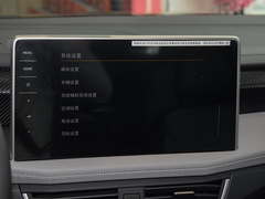 2024款 330TSI 两驱豪华Plus进阶版