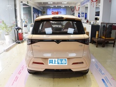 2023款 追风版 301km