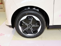 2023款 追风版 301km