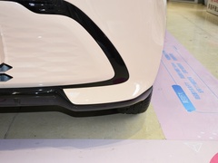 2023款 追风版 301km