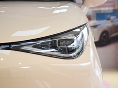 2023款 追风版 301km