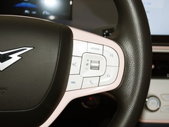 2023款 追风版 301km