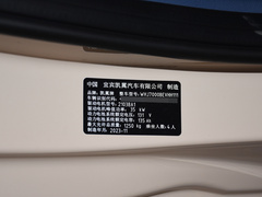2023款 追风版 301km