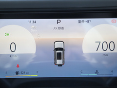 2024款 2.0T 城市猎人版 侠客型