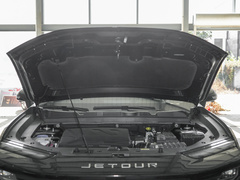 2024款 1.6T DCT 王者