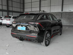 2024款 1.6T DCT 王者