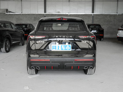 2024款 1.6T DCT 王者