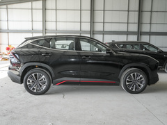 2024款 1.6T DCT 王者