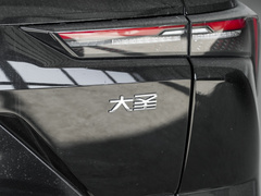 2024款 1.6T DCT 王者