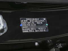 2024款 1.6T DCT 王者MAX