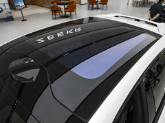 2024款 WE版 100kWh 后驱