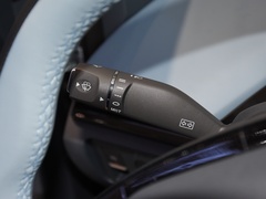 2024款 321km 钟爱版