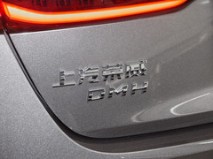2023款 DMH 125km 卓越版