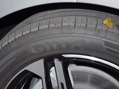 2023款 DMH 125km 旗舰版