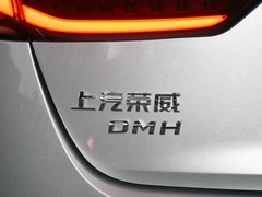 2023款 DMH 125km 旗舰版
