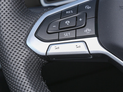 2024款 300TSI 自动两驱智享版