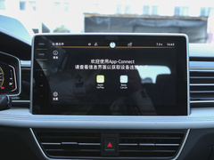 2024款 300TSI 自动两驱智享版