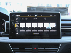 2024款 300TSI 自动两驱智享版