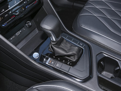 2024款 300TSI 自动两驱智享版