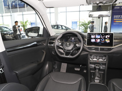 2024款 TSI330 5座两驱实力版