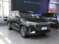 2024款 1.6TD DCT别墅 5座 