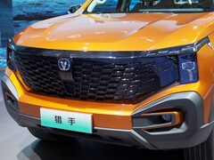 2024款 勇士版 豪华型 单电机超长箱
