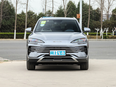 2024款 荣耀版 DM-i 71km 豪华型