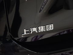 2024款 2.0T 星辰七座版