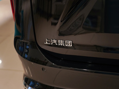 2024款 2.0T 星河七座版
