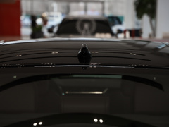 2024款 2.0T P300 四驱旗舰运动鎏金版