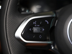 2024款 2.0T P300 四驱旗舰运动鎏金版