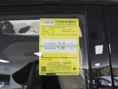 2024款 510km 旗艦版