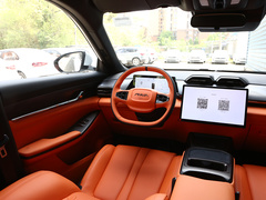 2024款 110 Pro