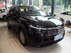 2024款 380VC-TURBO 两驱智尚版 7座