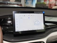 2024款 榮耀版 DM-i 55KM領(lǐng)先型