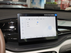 2024款 榮耀版 DM-i 55KM領(lǐng)先型