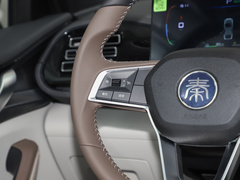 2024款 榮耀版 DM-i 55KM領(lǐng)先型