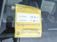 2024款 Plus 610 智驾版 磷酸铁锂