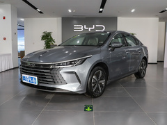 2024款 荣耀版 DM-i 120KM 尊贵型