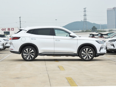 2024款 荣耀版 DM-i 110km 旗舰型