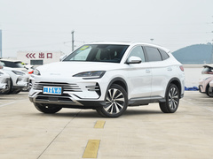 2024款 荣耀版 DM-i 110km 旗舰型